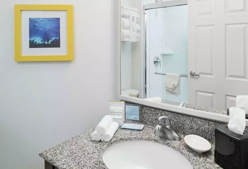 Fotos del hotel Hampton Inn & Suites Atlantadowntown:  11