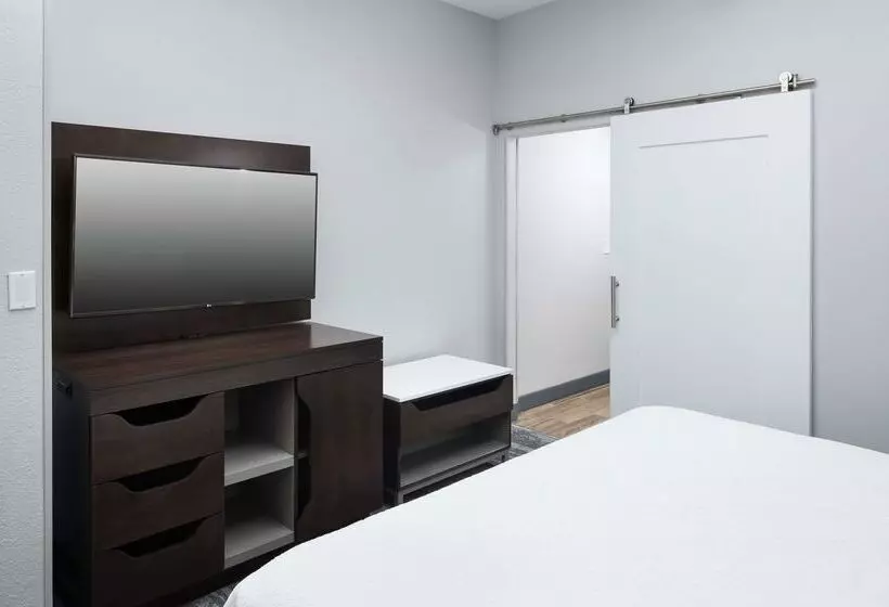 Fotos del hotel Hampton Inn & Suites Atlantadowntown:  19