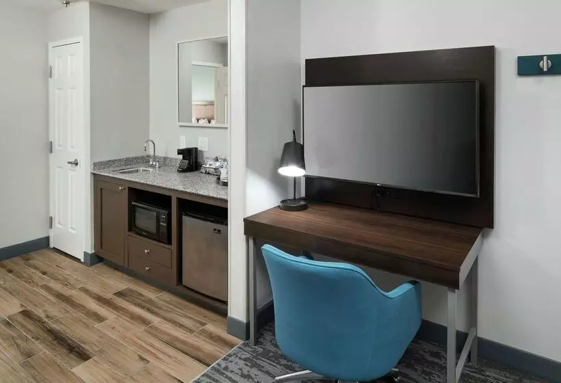 Fotos del hotel Hampton Inn & Suites Atlantadowntown:  17