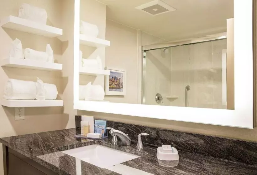 Fotos del hotel Hampton Inn & Suites Seattledowntown:  7