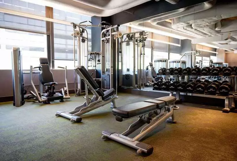 Fotos del hotel Hilton Chicago O'Hare Airport:  2