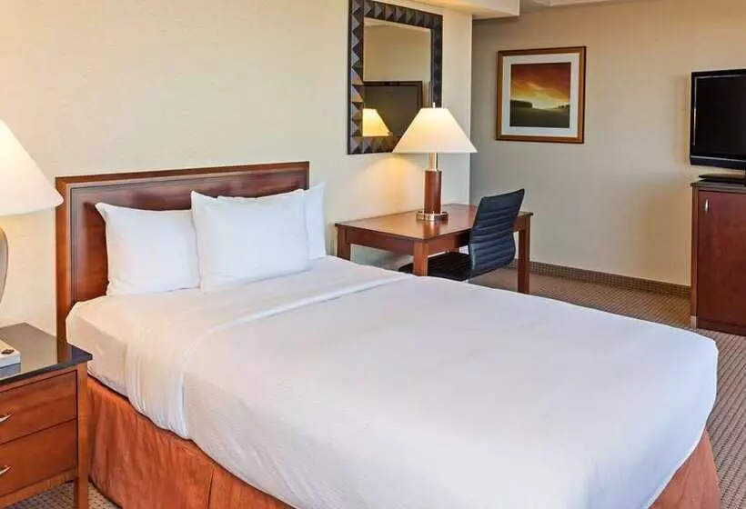 Fotos del hotel Hilton Chicago O'Hare Airport:  8