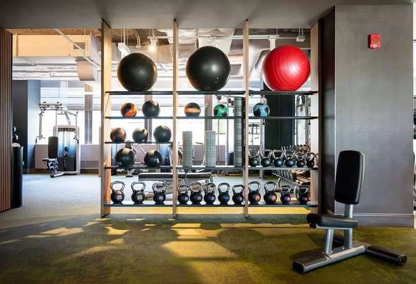 Fotos del hotel Hilton Chicago O'Hare Airport:  14