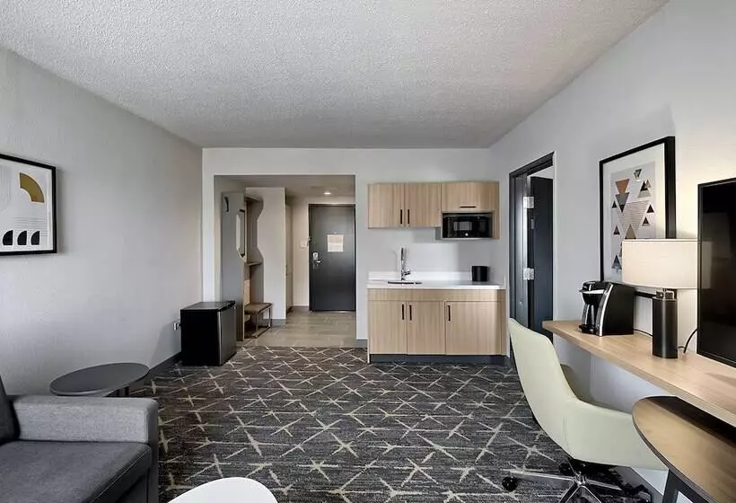 Fotos del hotel Holiday Inn Hotel & Suites Chicago - Downtown, An Ihg:  25