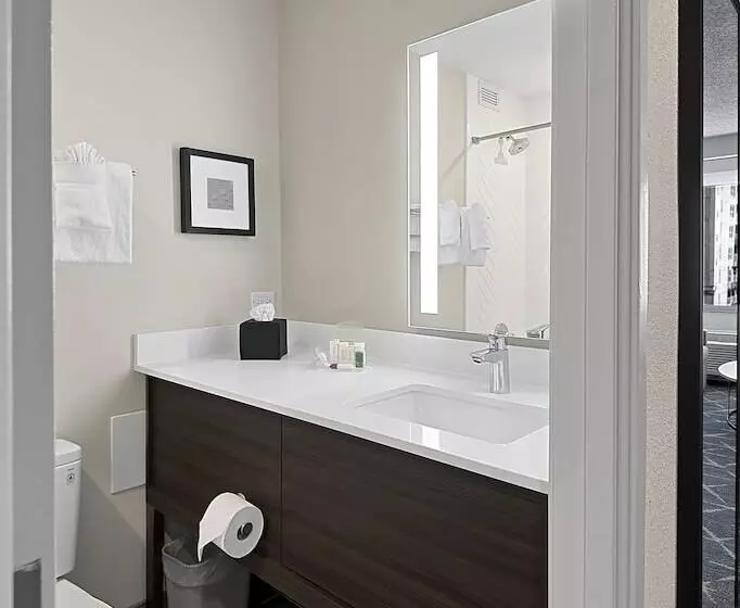 Fotos del hotel Holiday Inn Hotel & Suites Chicago - Downtown, An Ihg:  16