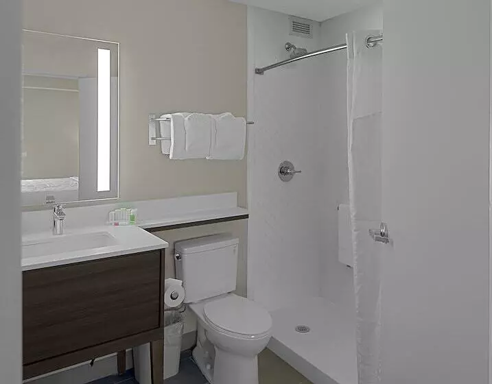 Fotos del hotel Holiday Inn Hotel & Suites Chicago - Downtown, An Ihg:  23