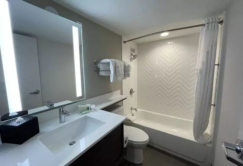 Fotos del hotel Holiday Inn Hotel & Suites Chicago - Downtown, An Ihg:  11