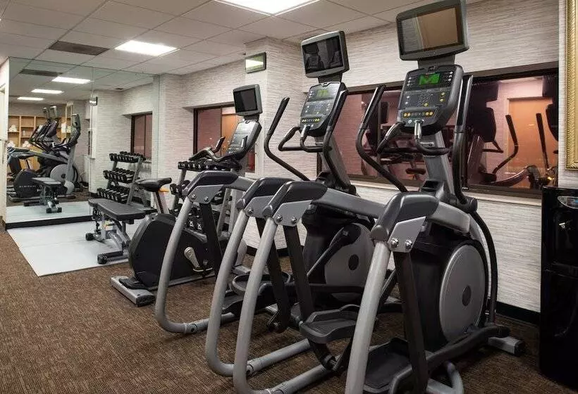 Fotos del hotel Holiday Inn Hotel & Suites Chicago - Downtown, An Ihg:  5