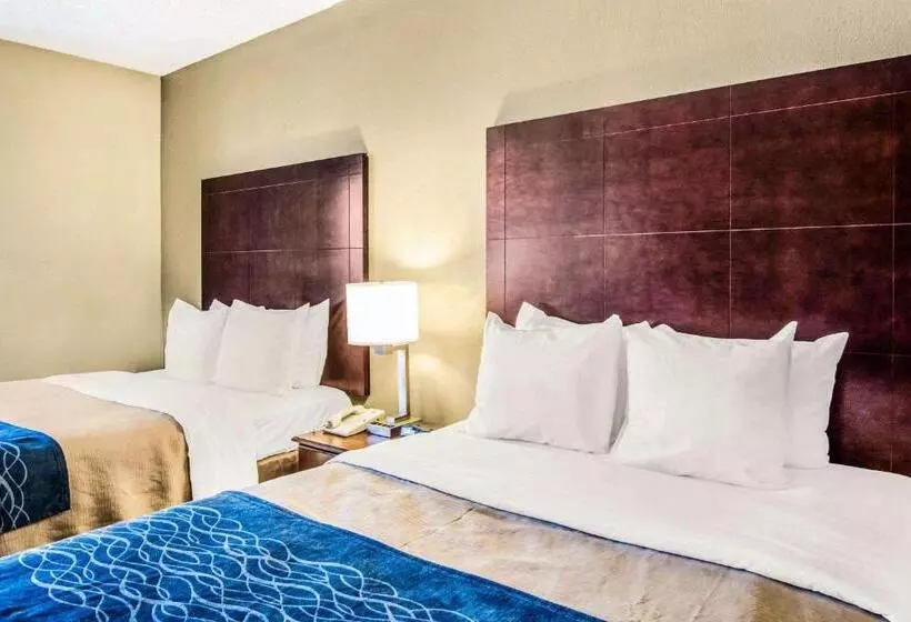 Fotos del hotel Comfort Inn Atlanta Downtown:  5