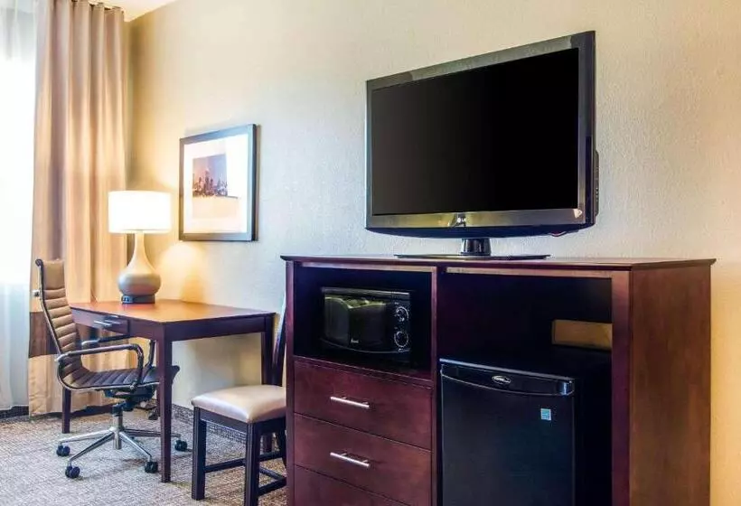 Fotos del hotel Comfort Inn Atlanta Downtown:  10