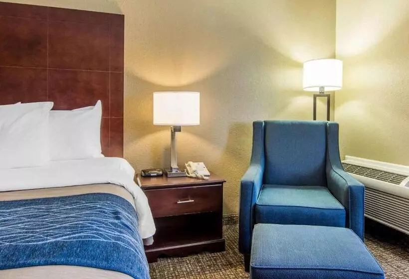 Fotos del hotel Comfort Inn Atlanta Downtown:  11