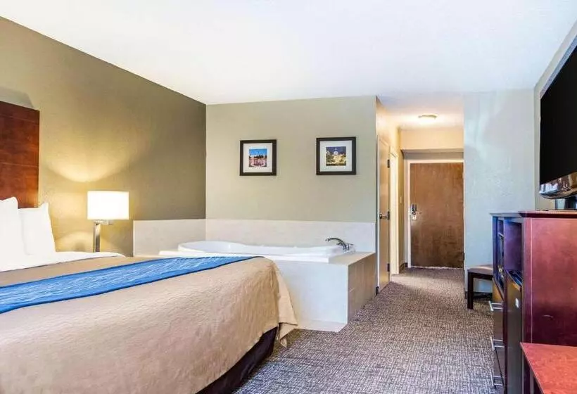 Fotos del hotel Comfort Inn Atlanta Downtown:  13