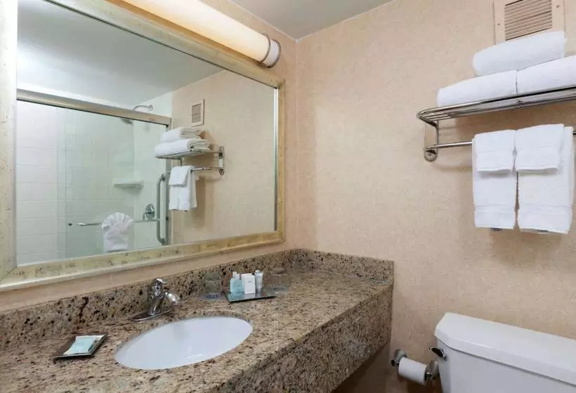 Fotos del hotel Wyndham Boston Beacon Hill:  16