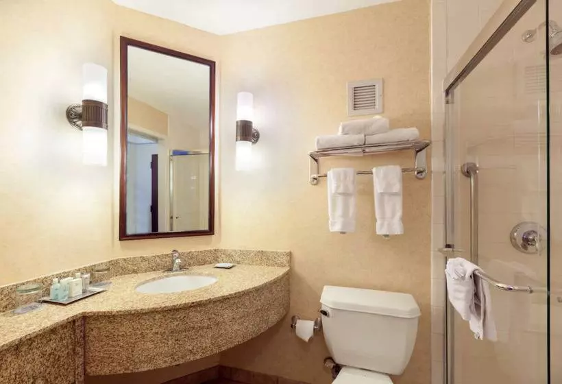 Fotos del hotel Wyndham Boston Beacon Hill:  23