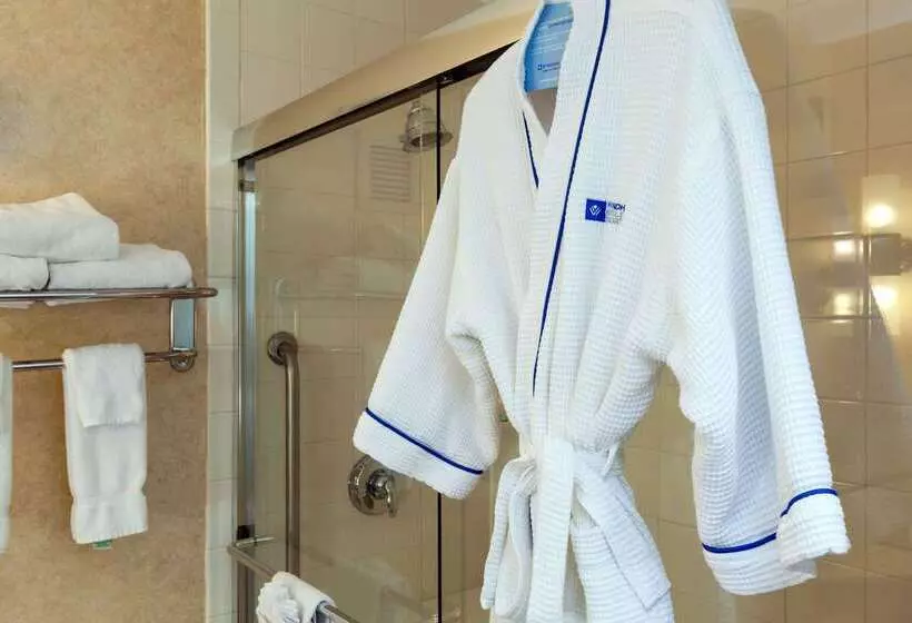 Fotos del hotel Wyndham Boston Beacon Hill:  25