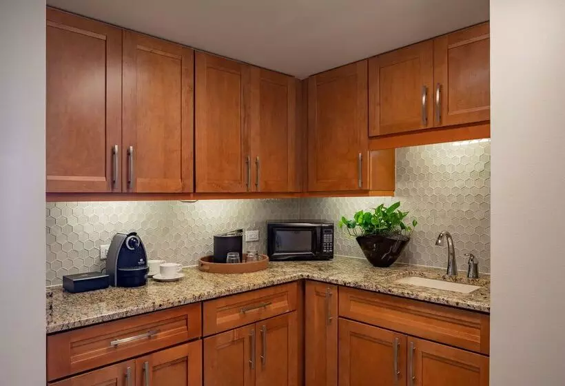 Fotos del hotel Hyatt Regency Orlando International Airport:  7