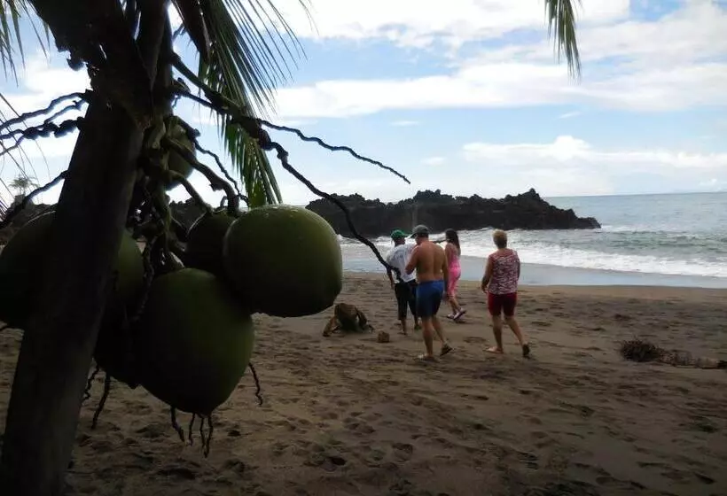 Fotos del hotel Nuquimar:  18