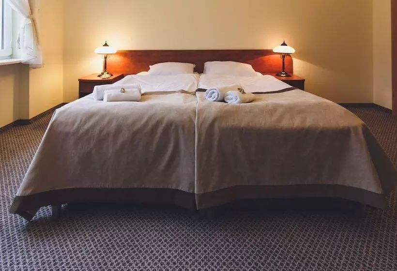 Fotos del hotel Bursztyn:  5