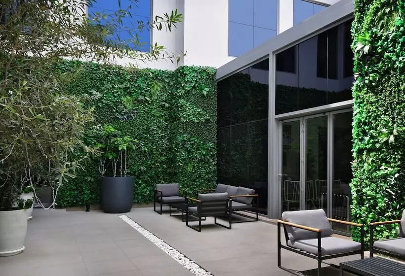 Fotos del hotel Lemon Tree , Jumeirah Dubai:  29