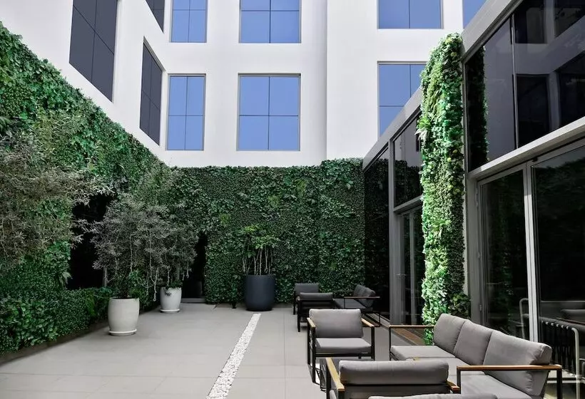 Fotos del hotel Lemon Tree , Jumeirah Dubai:  30