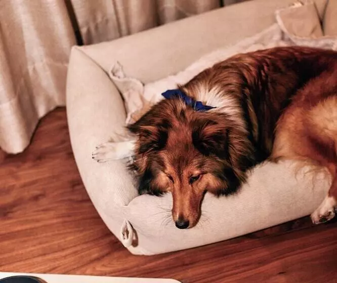 Fotos del hotel Kempinski  Bahía Beach Resort & Spa:  23