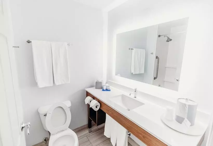 Fotos del hotel Holiday Inn Express Atlanta  Northeast I85  Clairmont Road, An Ihg:  6