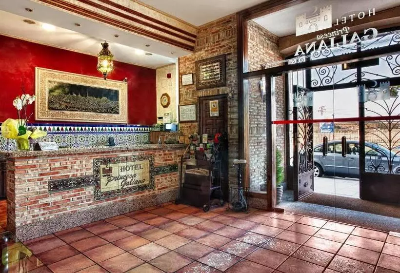 Fotos del hotel Princesa Galiana:  3