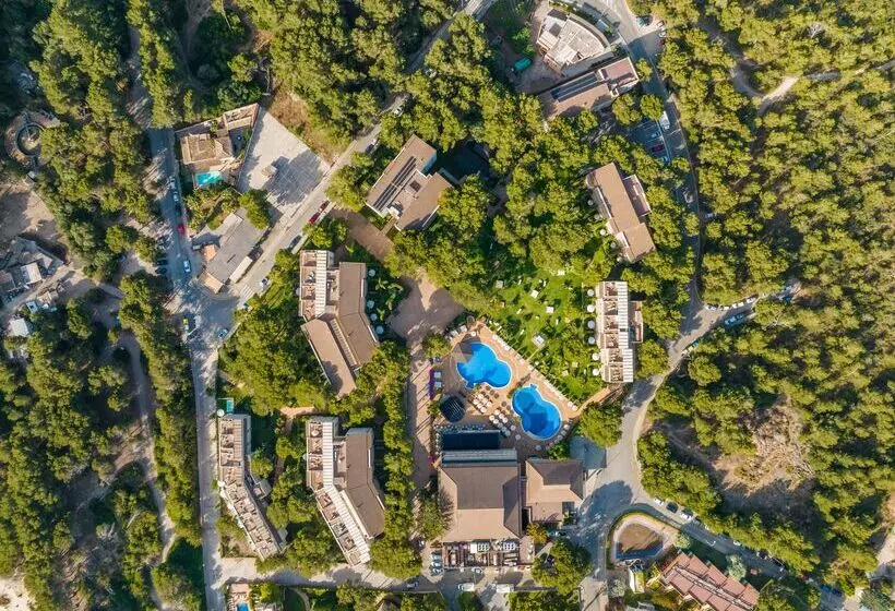 Fotos del hotel VIVA Cala Mesquida Suites & Spa - Adults Only 16+:  20