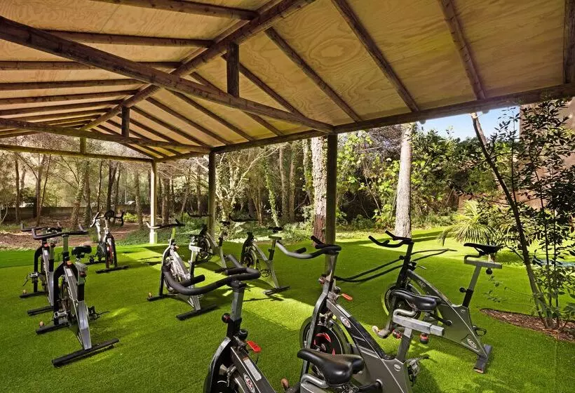 Fotos del hotel VIVA Cala Mesquida Suites & Spa - Adults Only 16+:  2