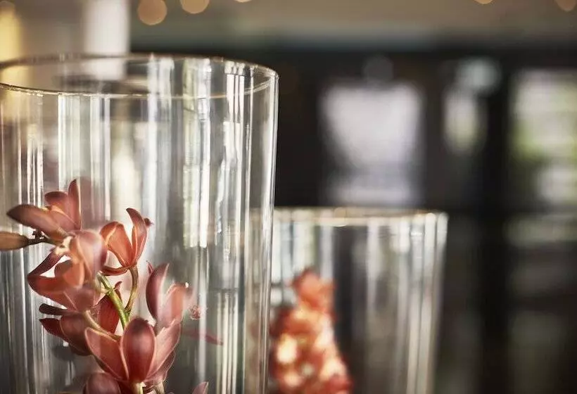 Fotos del hotel As Americas:  7