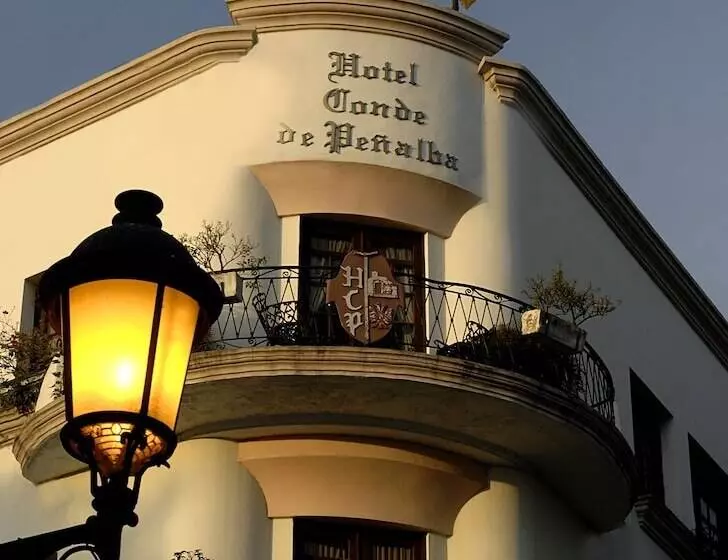 Fotos del hotel Conde De Penalba:  13