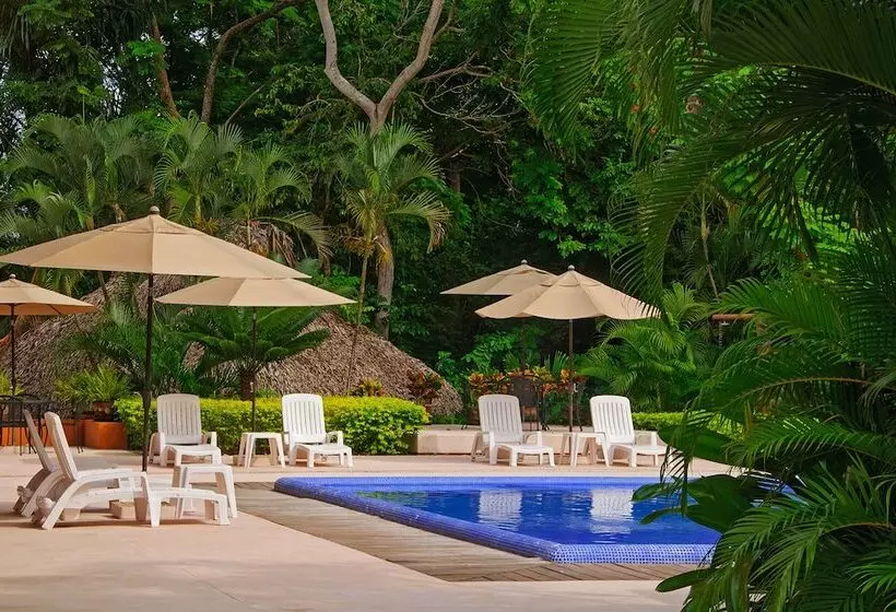 Fotos del hotel Hotel Villas Ixzi:  24