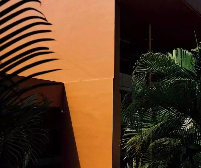 Fotos del hotel Hotel Villas Ixzi:  14