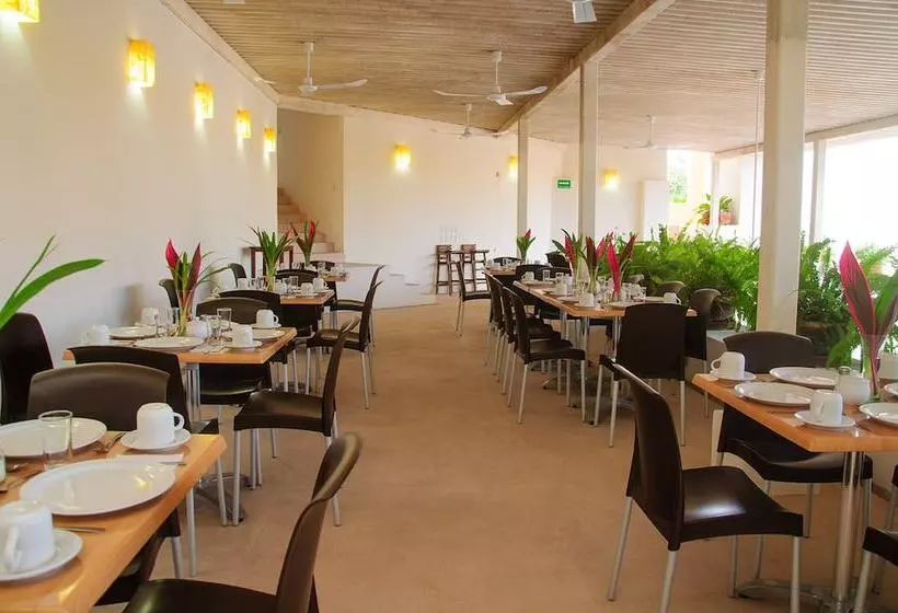 Fotos del hotel Hotel Villas Ixzi:  19