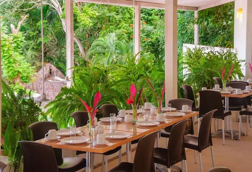 Fotos del hotel Hotel Villas Ixzi:  23