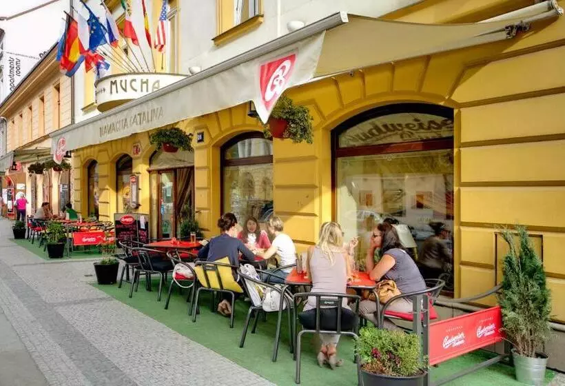 Fotos del hotel Mucha:  7