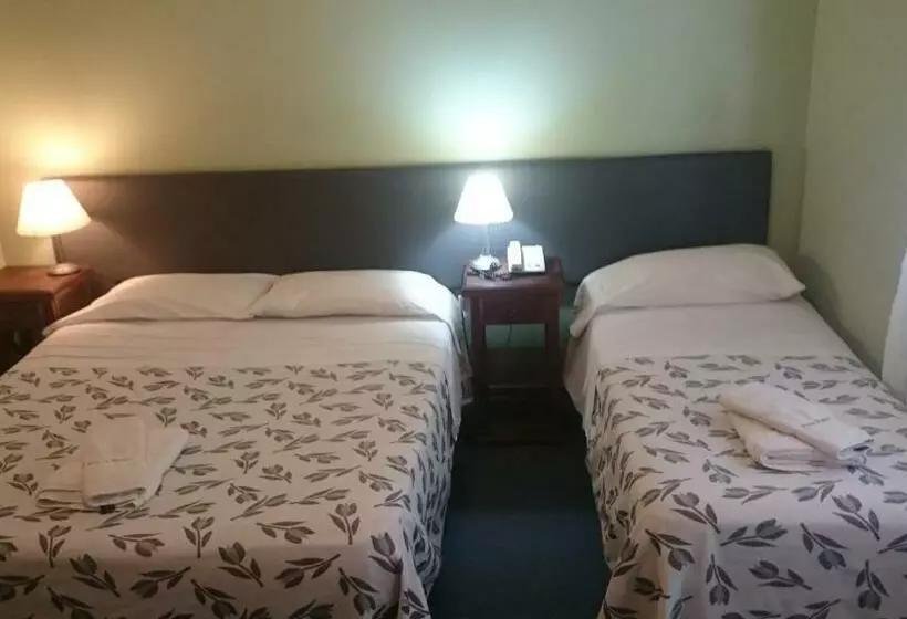 Fotos del hotel Plaza Roma:  14