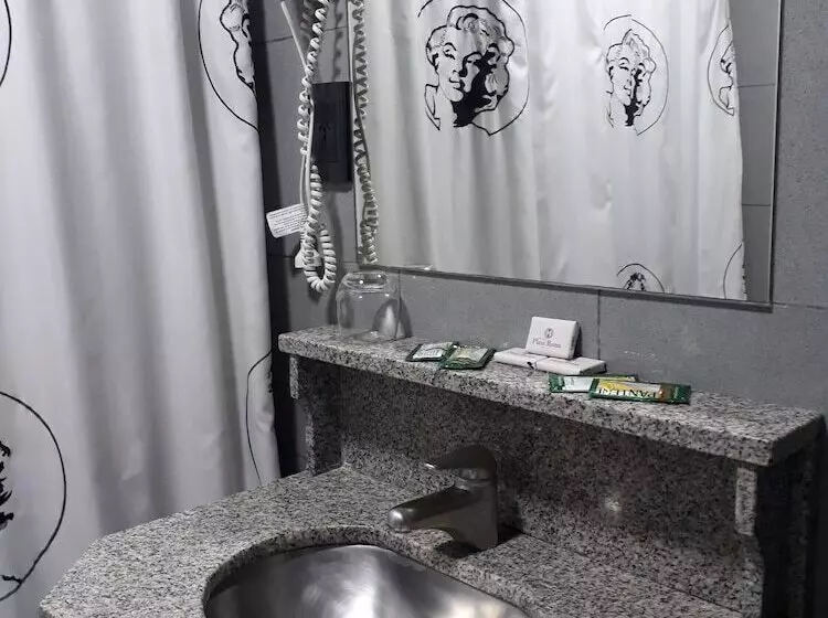 Fotos del hotel Plaza Roma:  17