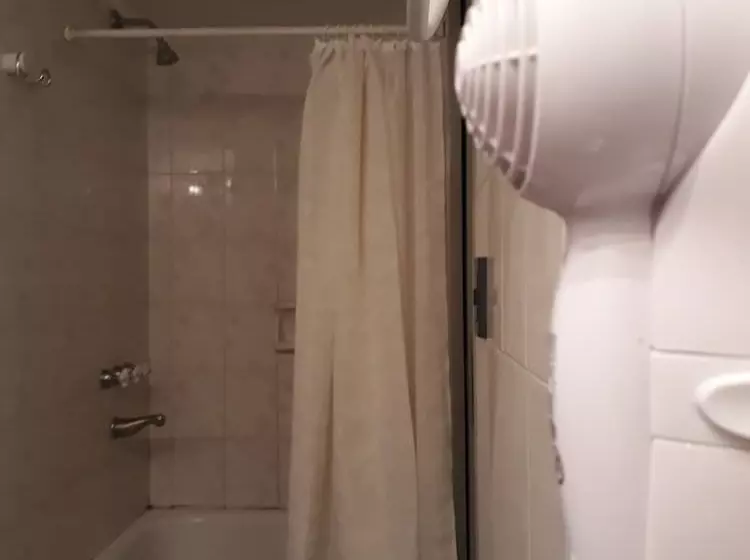 Fotos del hotel Plaza Roma:  7