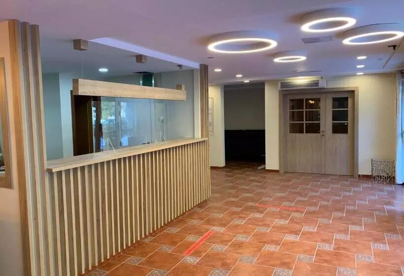 Fotos del hotel Somriu Hotel Vall Ski:  11