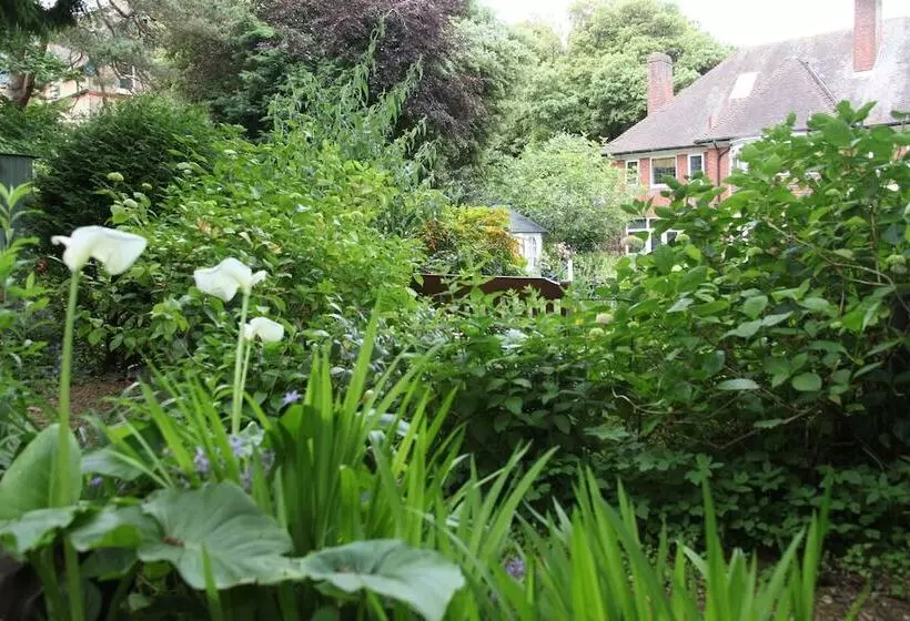 Fotos del hotel Yenton:  6