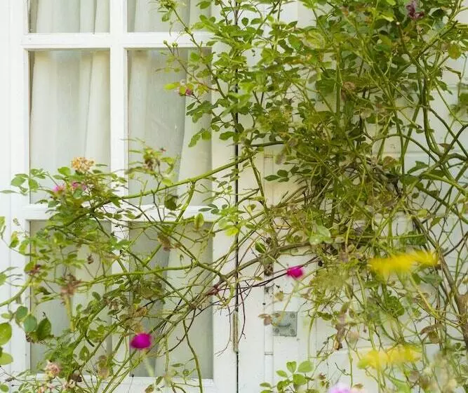 Fotos del hotel Yenton:  13