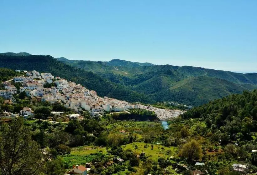 Fotos del hotel La Posada Del Angel:  8