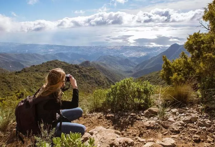 Fotos del hotel La Posada Del Angel:  14