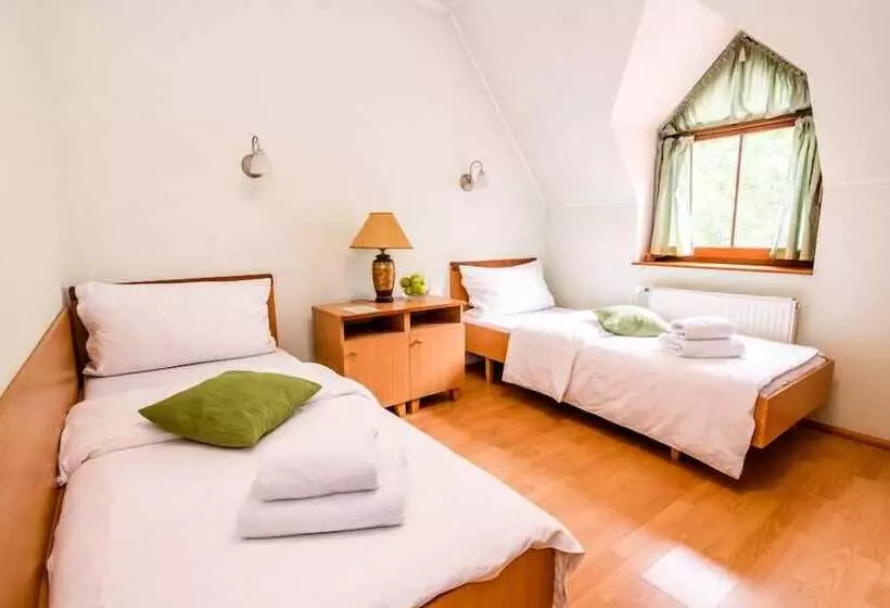 Fotos del hotel Eco Friendly Hotel Dália:  12