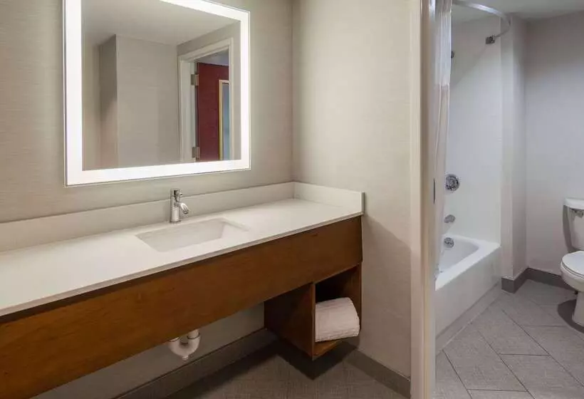 Fotos del hotel Best Western Plus Boston Hotel:  11