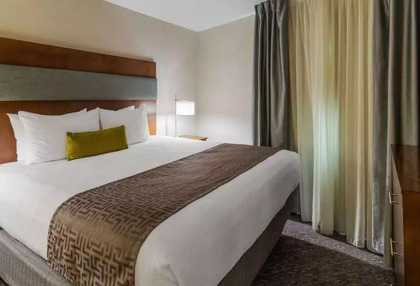 Fotos del hotel Best Western Plus Boston Hotel:  14