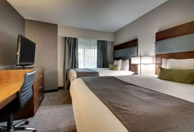 Fotos del hotel Best Western Plus Boston Hotel:  12