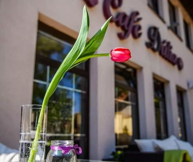 Fotos del hotel Eco Friendly Hotel Dália:  10