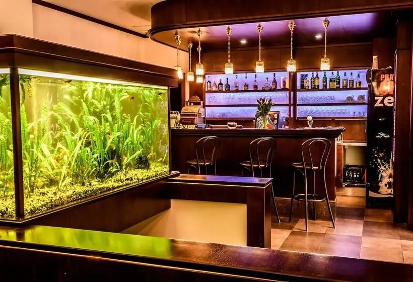 Fotos del hotel Eco Friendly Hotel Dália:  4